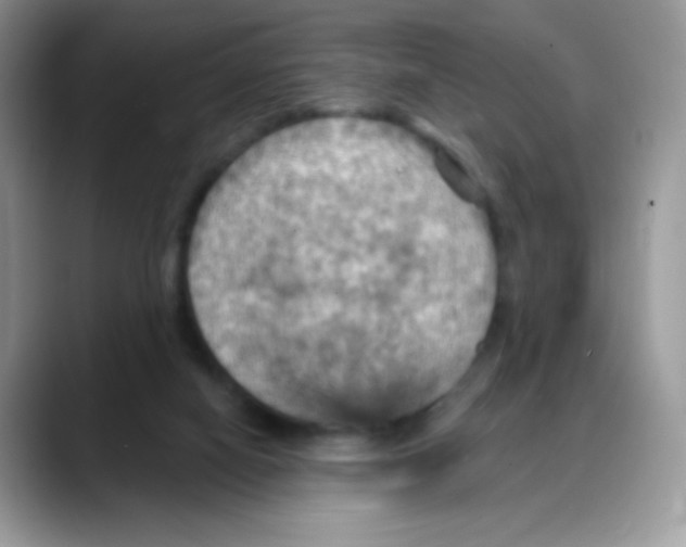 X0000088060066200706081658