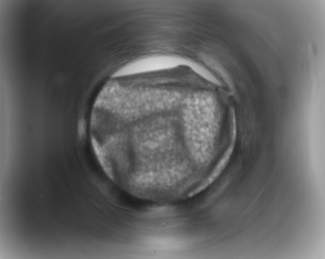 X0000088060067200706081658