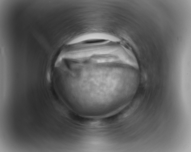 X0000088060068200706081658