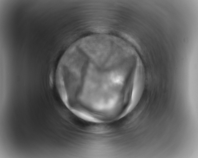 X0000088060069200706081658