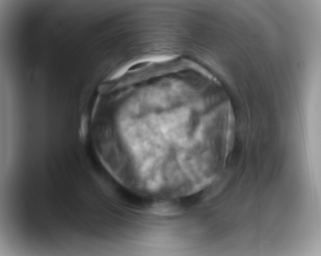 X0000088060070200706081658
