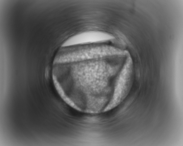 X0000088060071200706081658