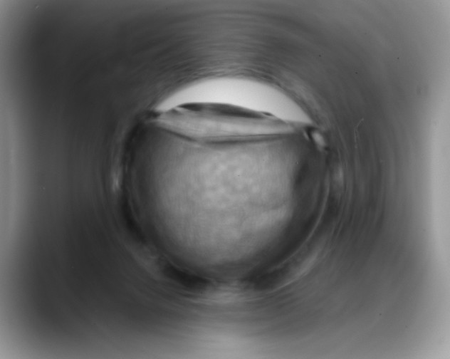 X0000088060072200706081658