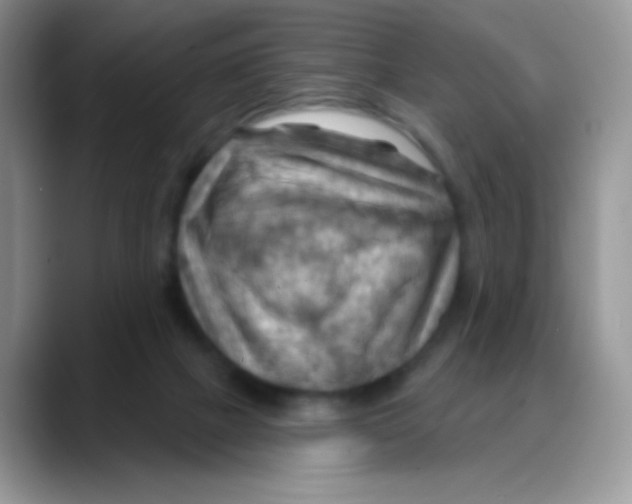 X0000088060073200706081658