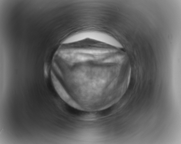 X0000088060075200706081658