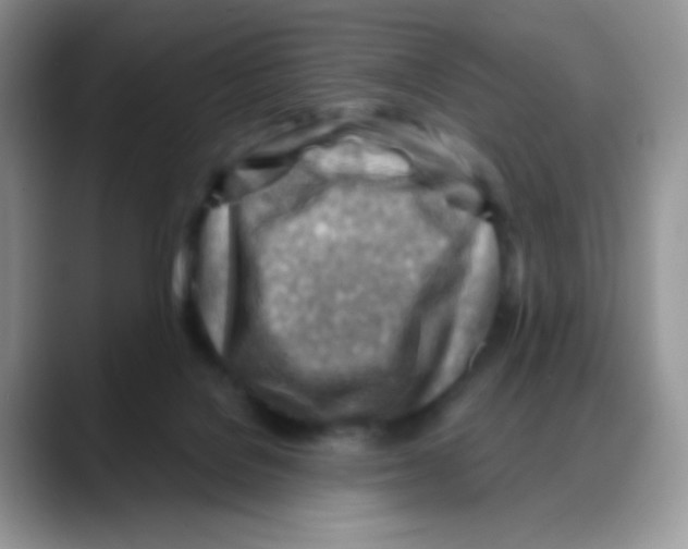 X0000088060076200706081658