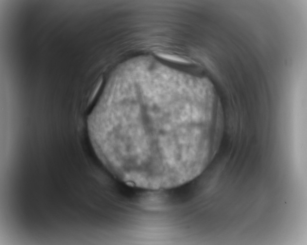 X0000088060077200706081658