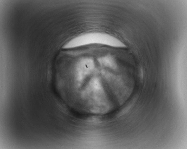 X0000088060080200706081658