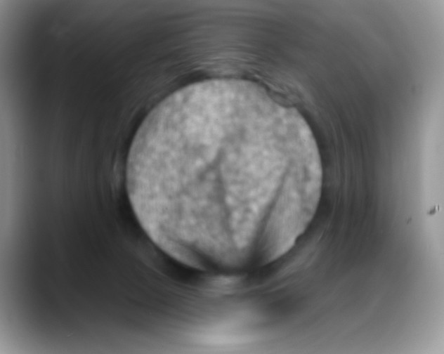 X0000088060081200706081658