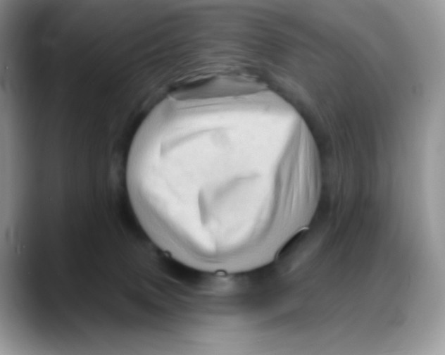 X0000088060083200706081658