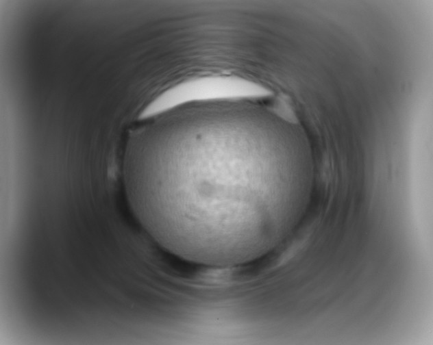 X0000088060084200706081658