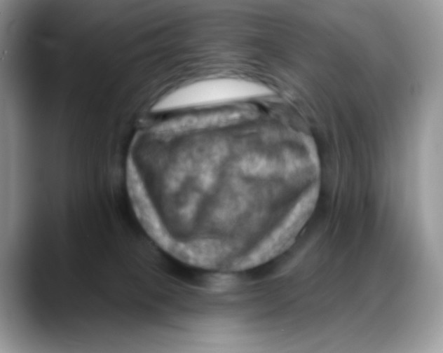 X0000088060085200706081658