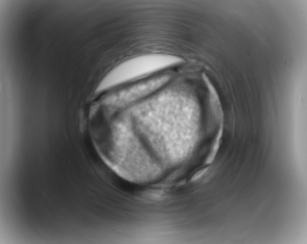 X0000088060086200706081658
