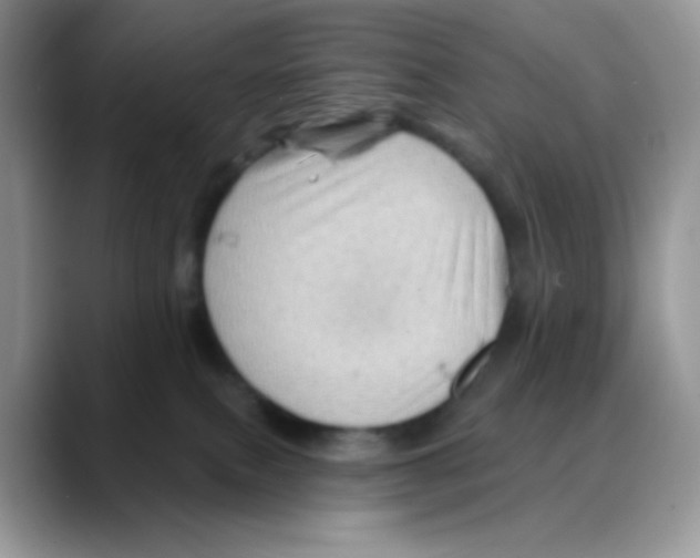 X0000088060087200706081658