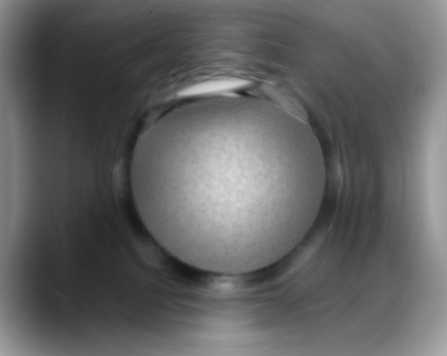 X0000088060088200706081658