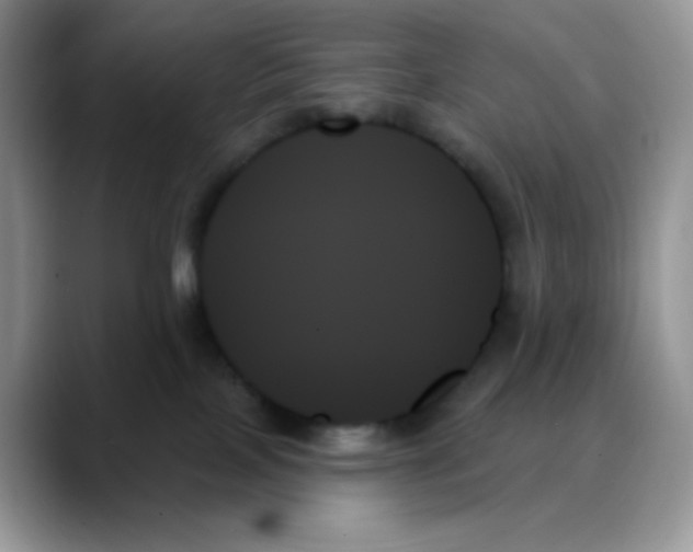 X0000088060089200706081658