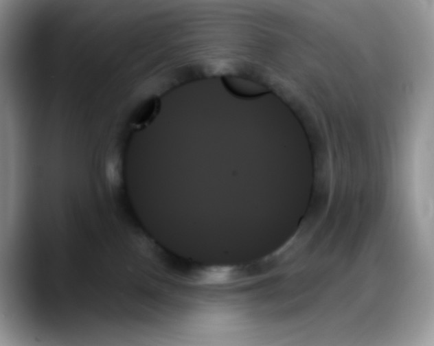 X0000088060090200706081658