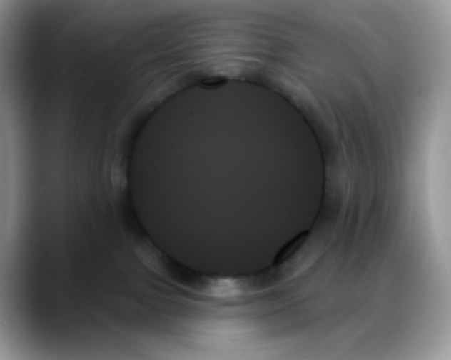 X0000088060091200706081658