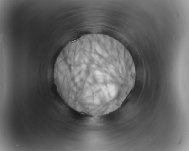 X0000088060092200706081658