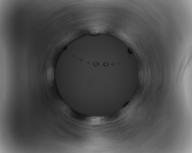 X0000088060093200706081658