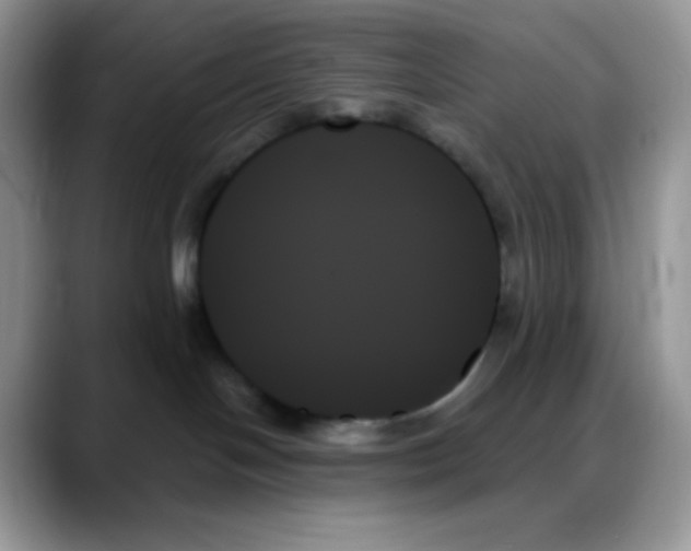 X0000088060094200706081658