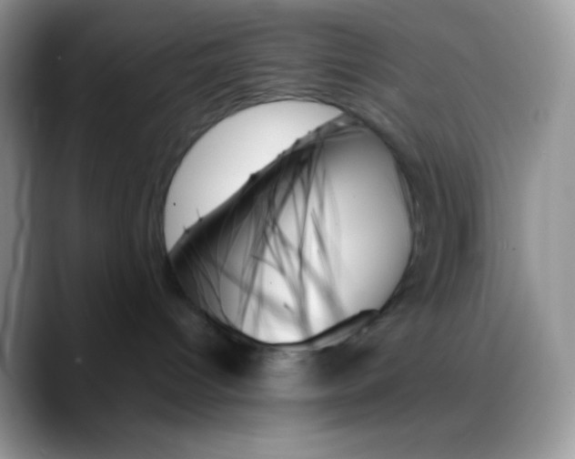 X0000088060096200706081658