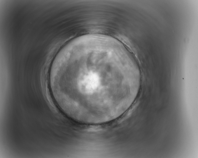 X0000088060097200706081657