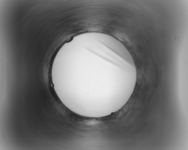 X0000088060098200706081657