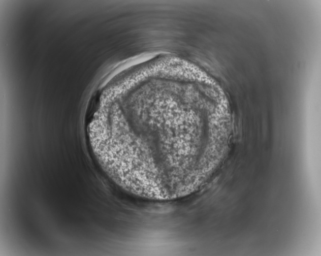 X0000088060099200706081657