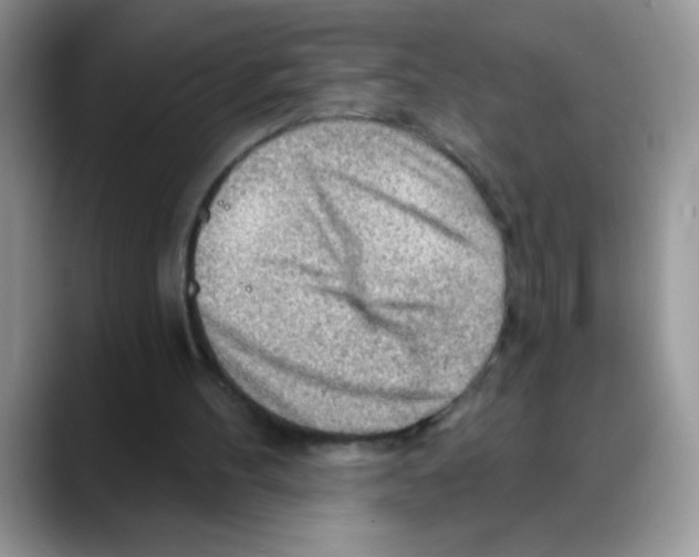 X0000088060100200706081657