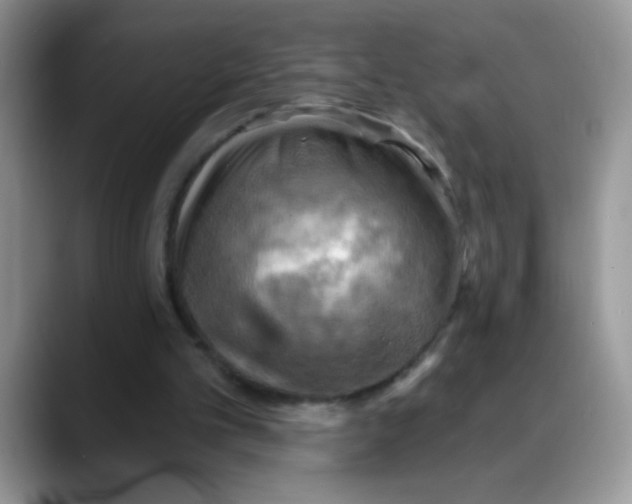 X0000088060101200706081657