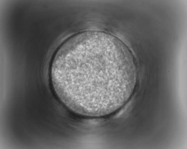 X0000088060103200706081657
