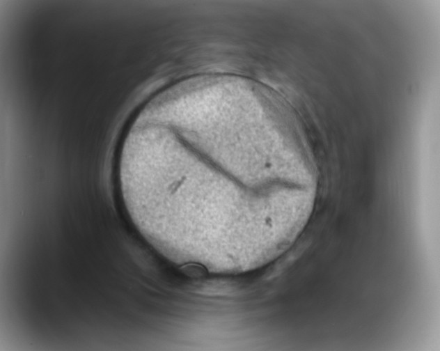 X0000088060104200706081657