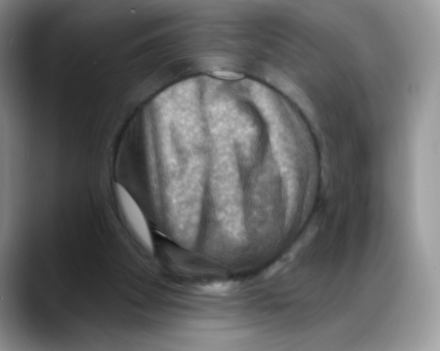 X0000088060105200706081657
