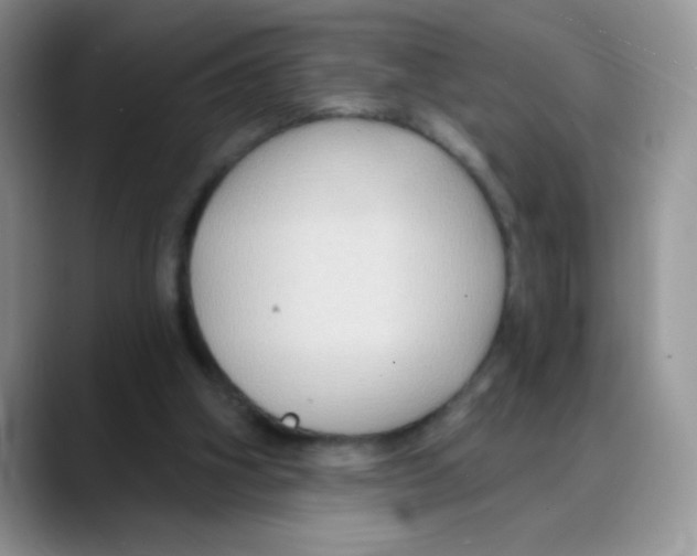 X0000088060106200706081657