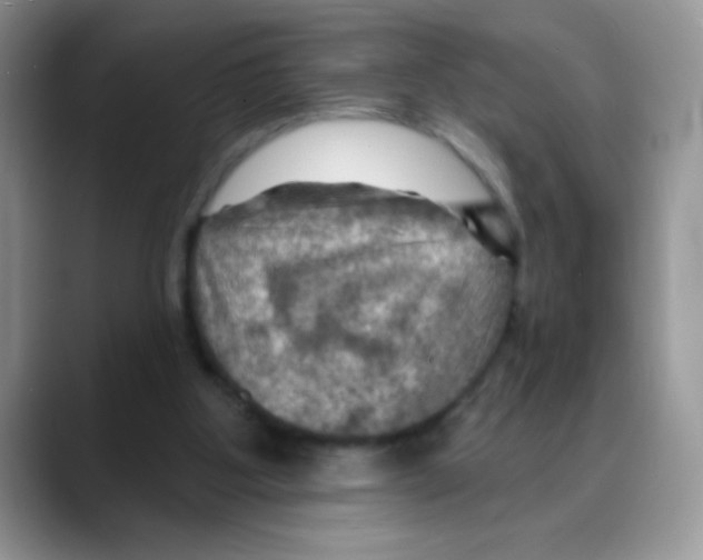 X0000088060107200706081657