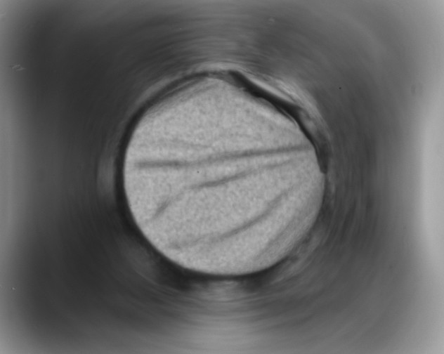 X0000088060108200706081657