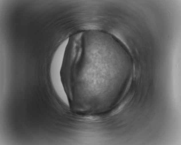 X0000088060109200706081657