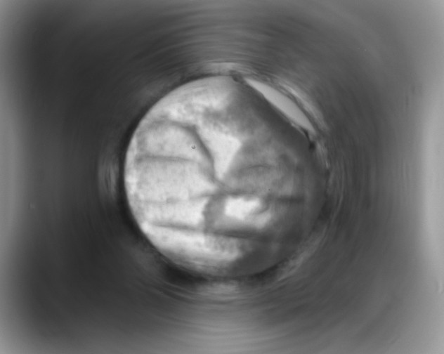 X0000088060110200706081657