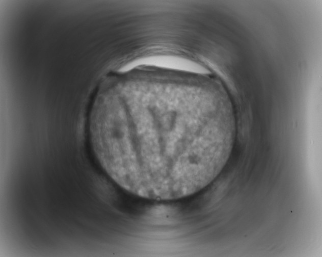 X0000088060111200706081657
