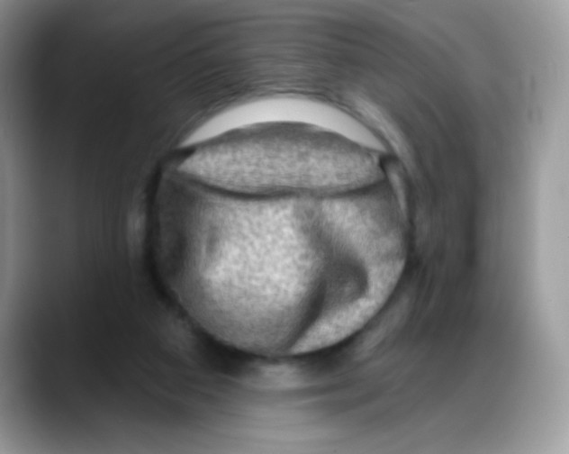 X0000088060113200706081657