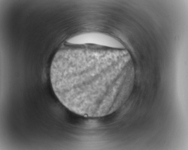 X0000088060114200706081657
