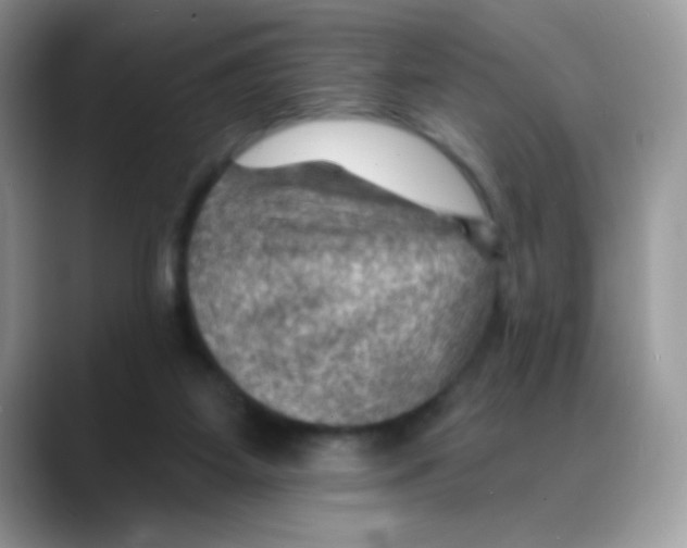 X0000088060115200706081657