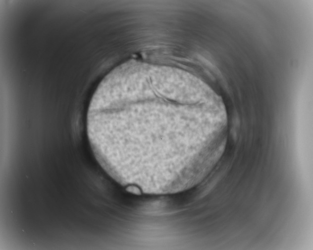 X0000088060116200706081657