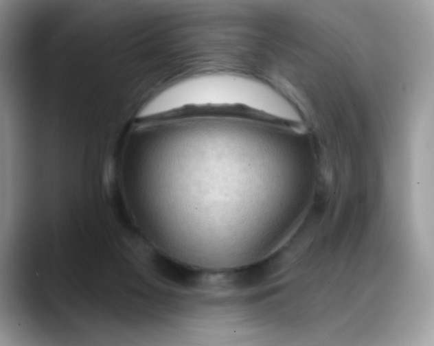 X0000088060117200706081657