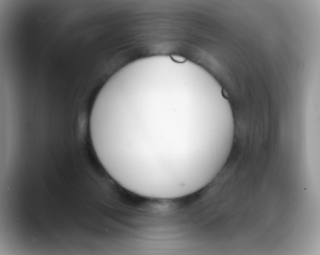 X0000088060118200706081657