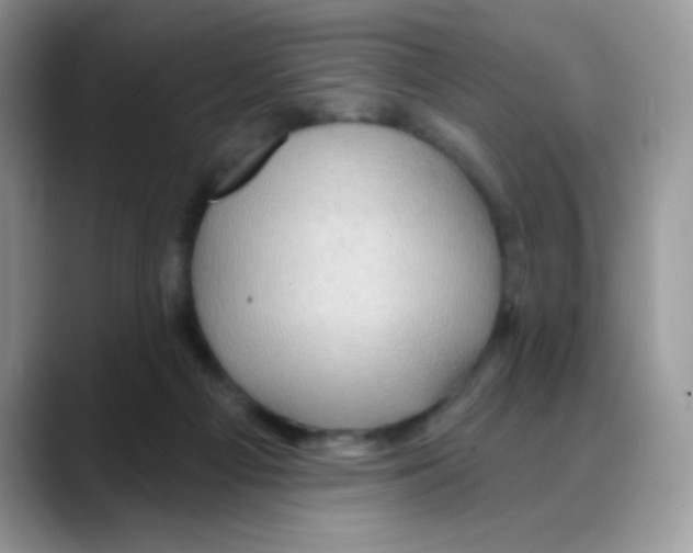 X0000088060121200706081657