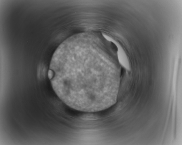X0000088060123200706081657