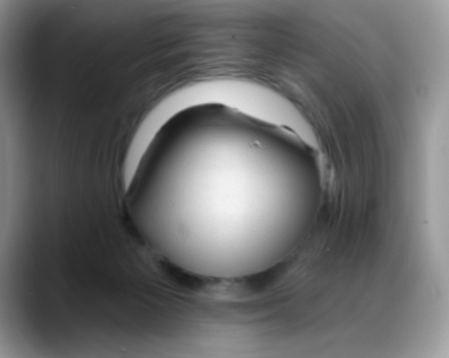X0000088060125200706081657