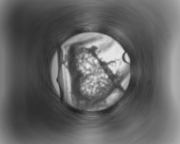X0000088060127200706081657